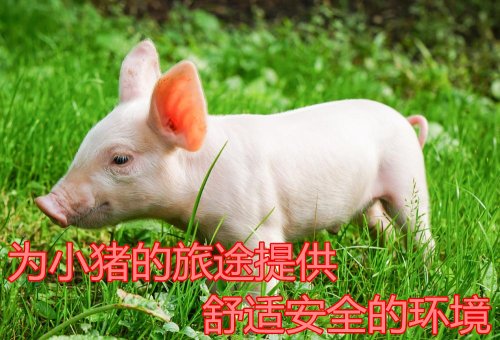 畜禽豬仔運(yùn)輸車(chē)價(jià)格廠(chǎng)家圖片